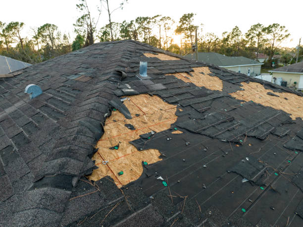 Best Storm Damage Roof Repair  in Georgetown, TX